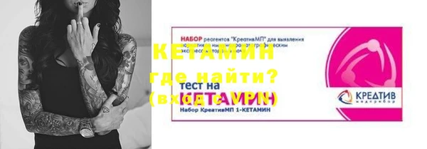 крисы Алексин