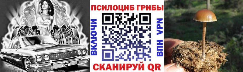 где можно купить Цивильск kraken рабочий сайт Псилоцибиновые грибы мухоморы