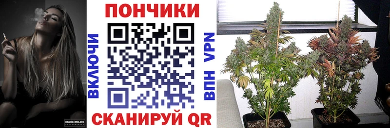 Марихуана тримм  где найти наркотики  Цивильск 